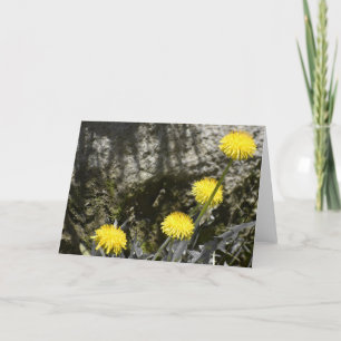 Dandelions, tarjeta