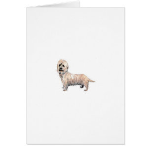 Dandie Dinmont Terrier