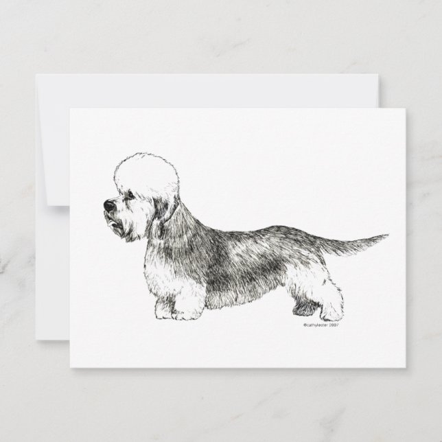 Dandie Dinmont Terrier (Anverso)