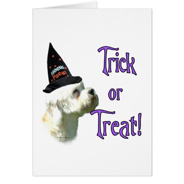 Dandie Dinmont Terrier Trick (Frente)