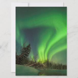 Dando vueltas a Spruce Aurora