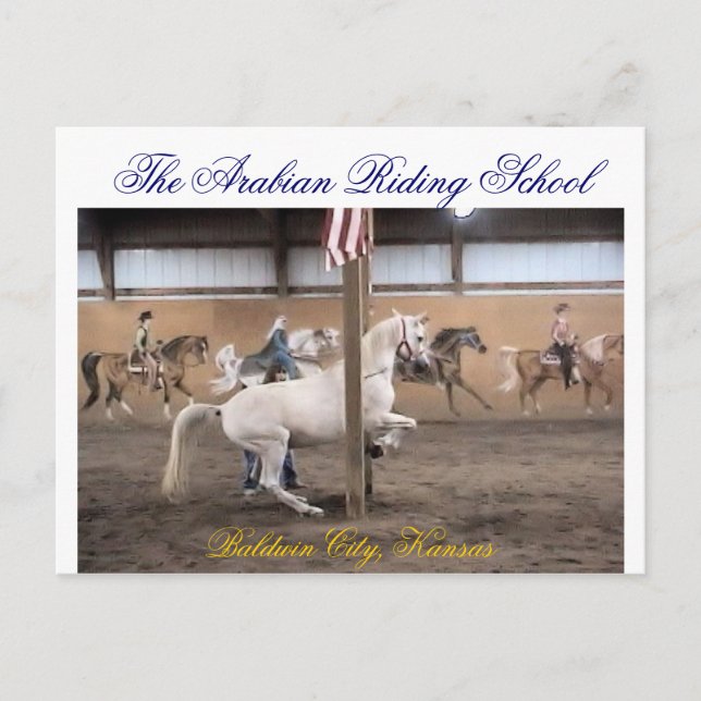 Dandy, tarjeta postal levade (Anverso)