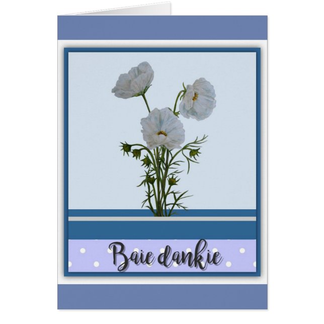 Dankie de Baie (Frente)