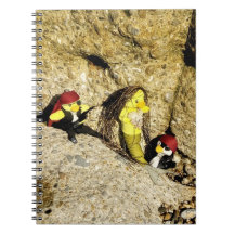 Danni el cuaderno de la sirena