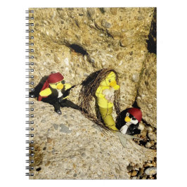 Danni el cuaderno de la sirena