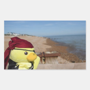Danny Duck el Pegatina rectangular pirata