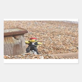 Danny Duck el Pegatina rectangular pirata