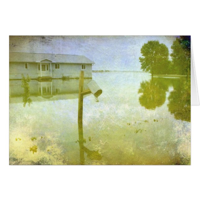 Daños de inundación (Anverso (Horizontal))