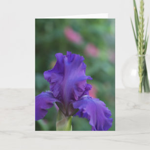 Danza de la tarjeta de felicitación Purple Iris