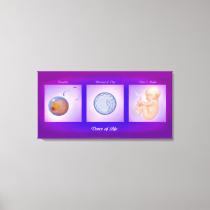 Danza De La Vida Embarazo Arte Imprimir