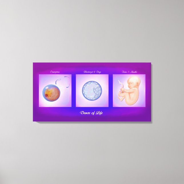 Danza De La Vida Embarazo Arte Imprimir (Anverso)