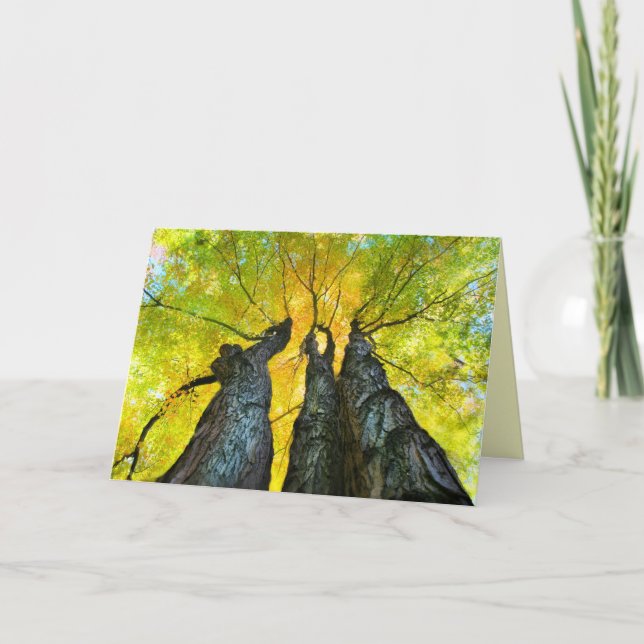 Danza de las Damas, tarjeta de otoño, árbol (Anverso)