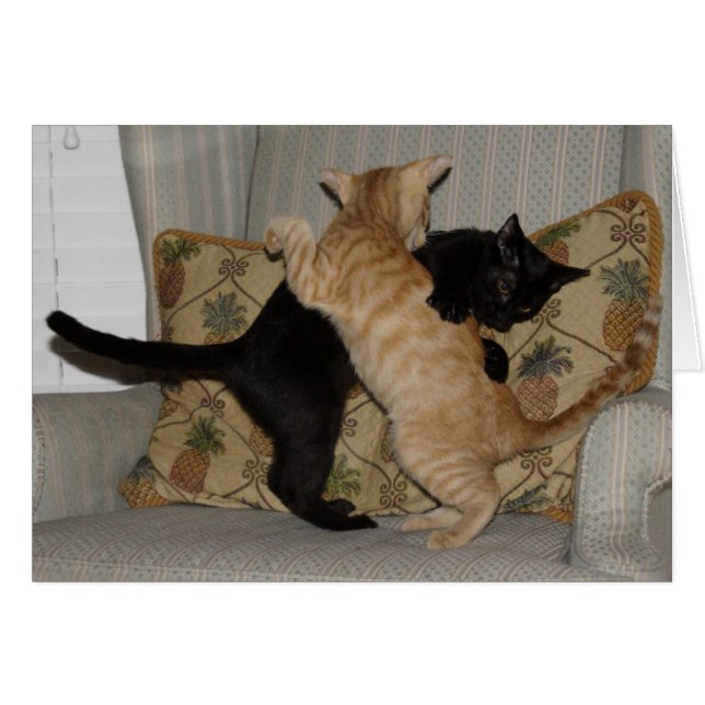 Danza del gato (Anverso (Horizontal))