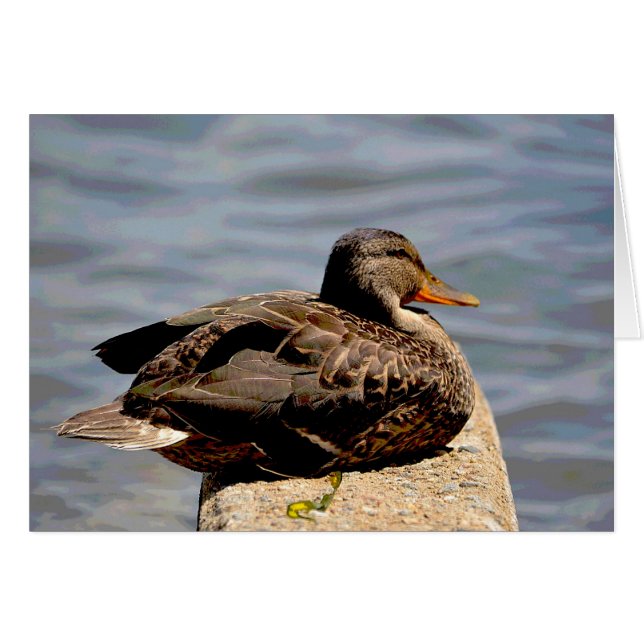 Dapper Duck (Anverso (Horizontal))