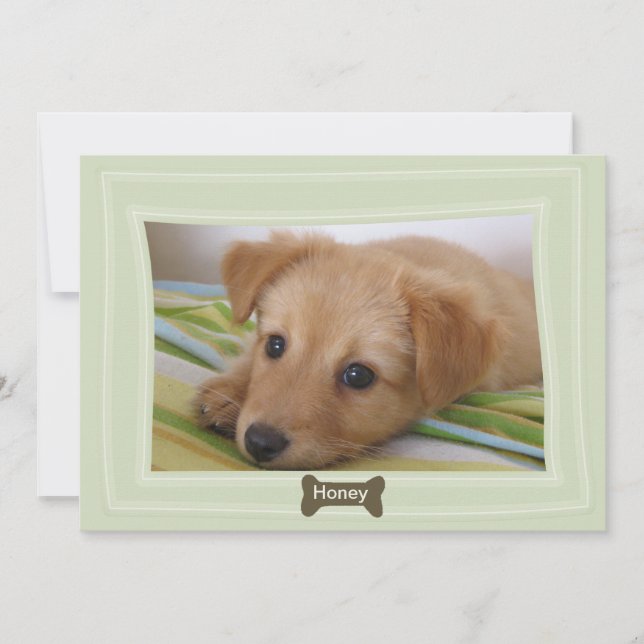 Dar a un perro una Invitación de Mascota de fotogr (Anverso)
