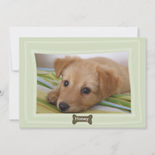 Dar a un perro una Invitación de Mascota de fotogr