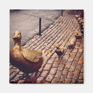 Dar Camino Al Imán De Los Ducklings