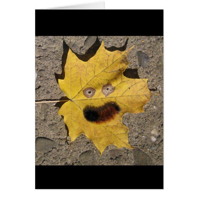 Dar una sonrisa (Frente)