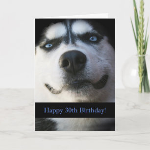 Darling Smiling Husky Funny Tarjeta de cumpleaños