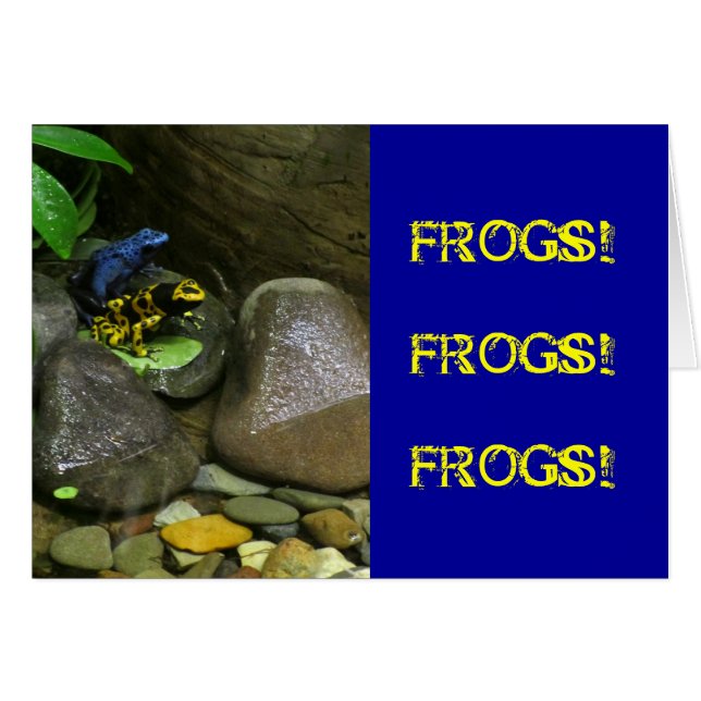 Dart Frog Buddies (Anverso (Horizontal))