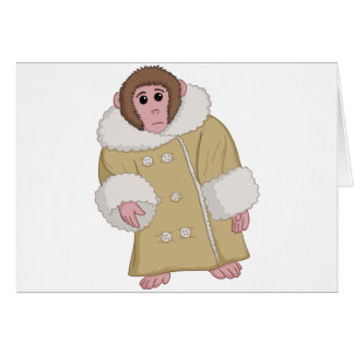 Darwin que Ikea Monkey