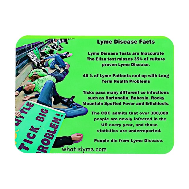 Datos de la enfermedad de Lyme imán de foto de pro (Horizontal)