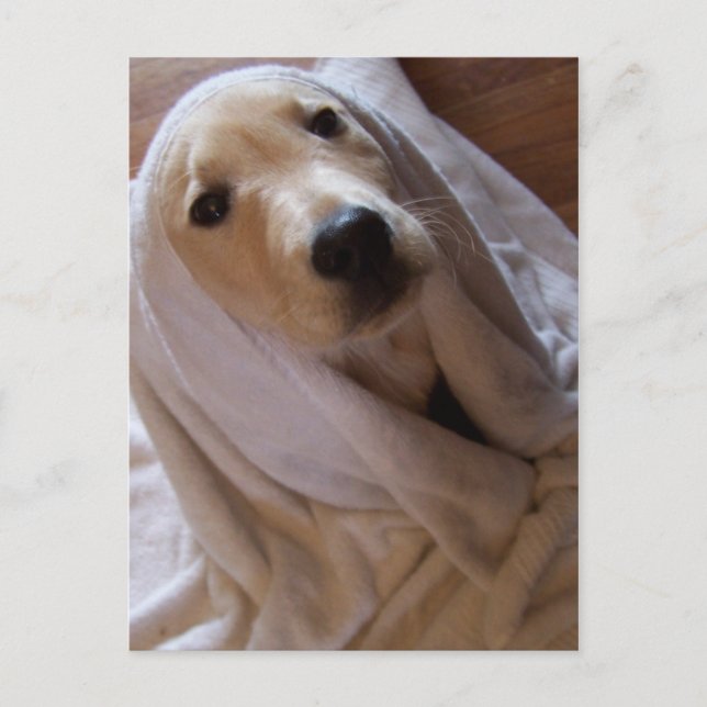 datos en la tarjeta postal de la toalla (Anverso)