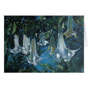Datura