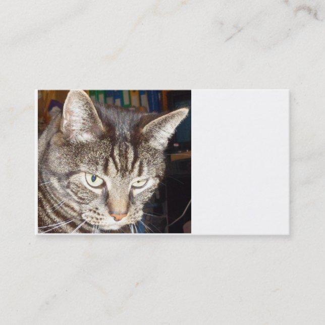 Dave está vigilando tarjetas de presentación (Anverso)