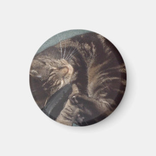 Dave Pequeño, Imán Redondo De 3,2 Cm