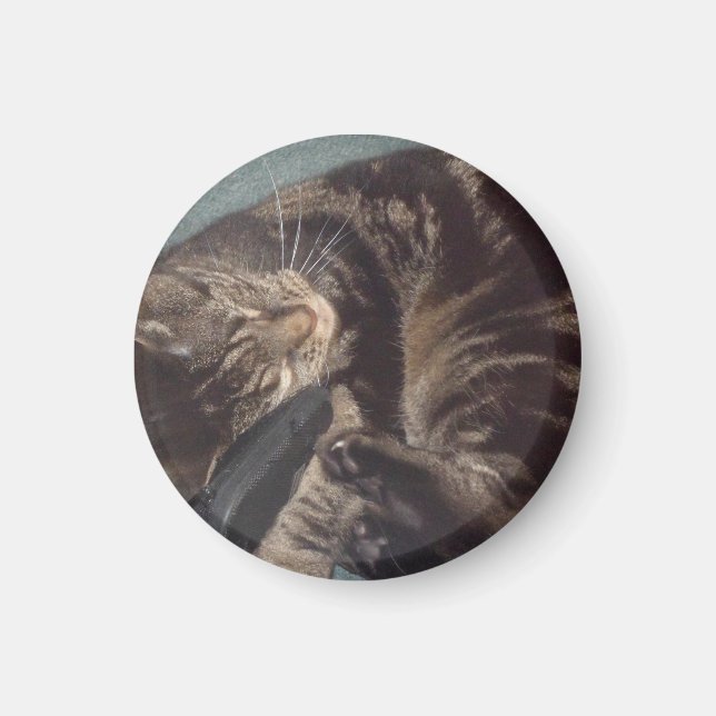 Dave Pequeño, Imán Redondo De 3,2 Cm (Frente)