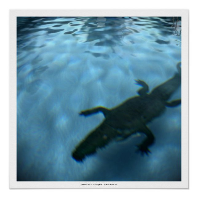 DAVID'S POOL SERIES p05b- 3D Computer ART Poster (Anverso)
