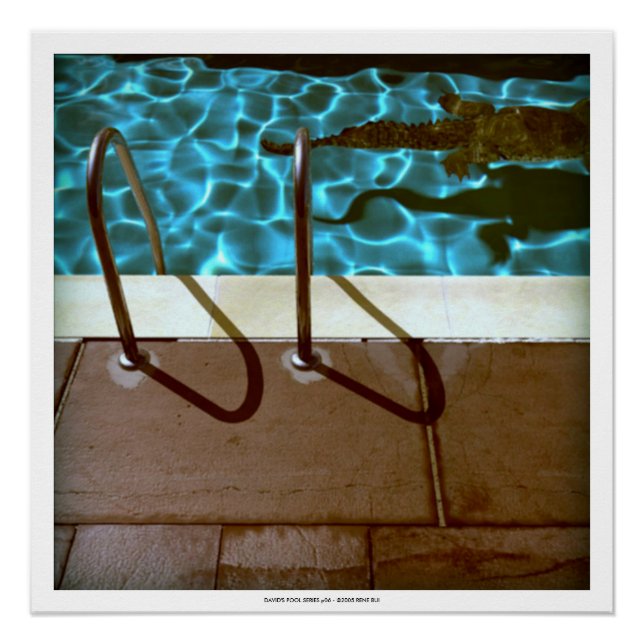 DAVID'S POOL SERIES p06- 3D Computer ART Poster (Anverso)