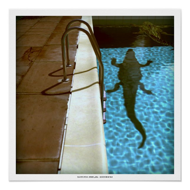 DAVID'S POOL SERIES p08b- 3D Computer ART Poster (Anverso)