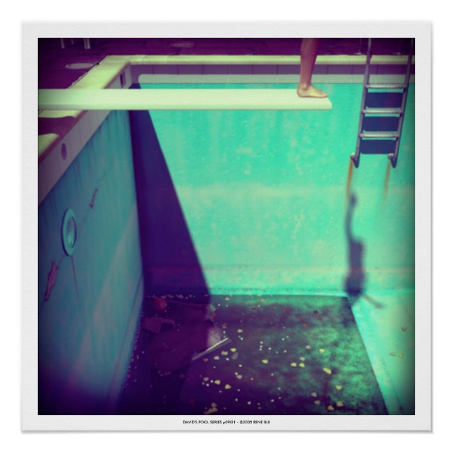 DAVID'S POOL SERIES p09f21- 3D Computer ART Poster (Anverso)
