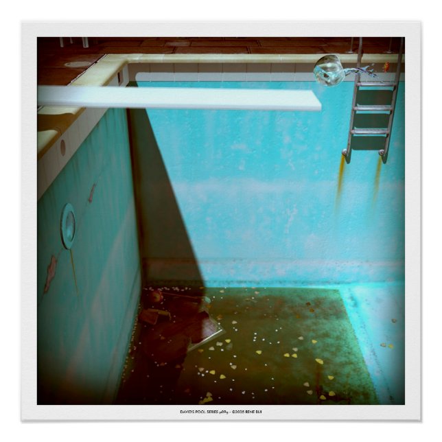 DAVID'S POOL SERIES p09g- 3D Computer ART Poster (Anverso)