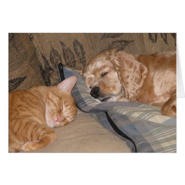 Dax y Chance Share (Anverso (Horizontal))