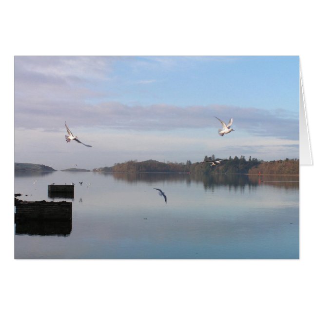 DAYBREAK, BAHÍA DONEGAL (Anverso (Horizontal))