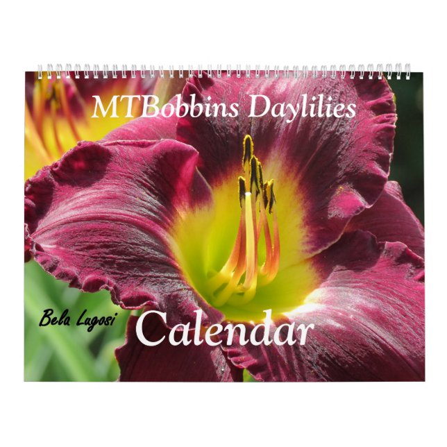 Daylilies de MTBobbins - con nombres - calendario (Tapa)