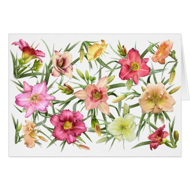 Daylilies por todas partes (Anverso (Horizontal))