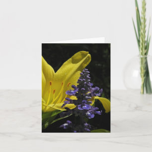 Daylily vivo y tarjeta de nota floral de Salvia