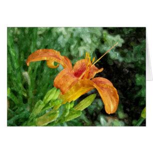 Daylily Watercolor
