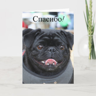 De Agradecimiento С п а с и о Perro Pug Ruso Gracias tarjeta