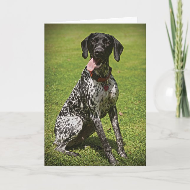 De Agradecimiento Augie gracias tarjeta (Anverso)