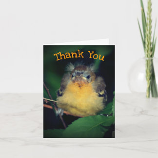 De Agradecimiento Bebé lindo Oriole Bird Naturaleza Gracias Tarjeta