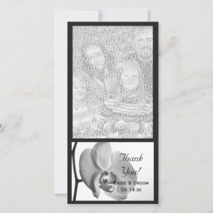 De Agradecimiento Boda Orquídea Blanca Gracias Tarjeta Fotográfica