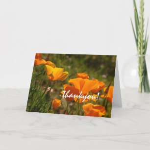 De Agradecimiento California Poppies Thankyou! Tarjeta