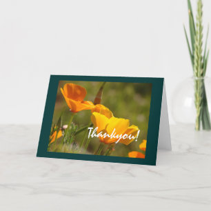 De Agradecimiento California Poppies Thankyou! Tarjeta