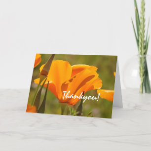 De Agradecimiento California Poppies Thankyou! Tarjeta
