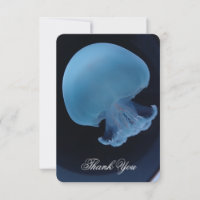 Canonball Jellyfish Full Color Gracias tarjeta